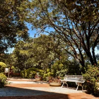 DLF-294-1920w.webp